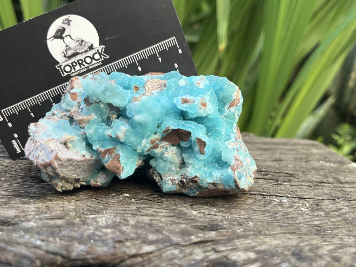 Natural Rare Drusy Hemimorphite On Dolomite Specimen x 1 From Lupoto Mine, Congo