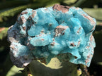 Natural Rare Drusy Hemimorphite On Dolomite Specimen x 1 From Lupoto Mine, Congo