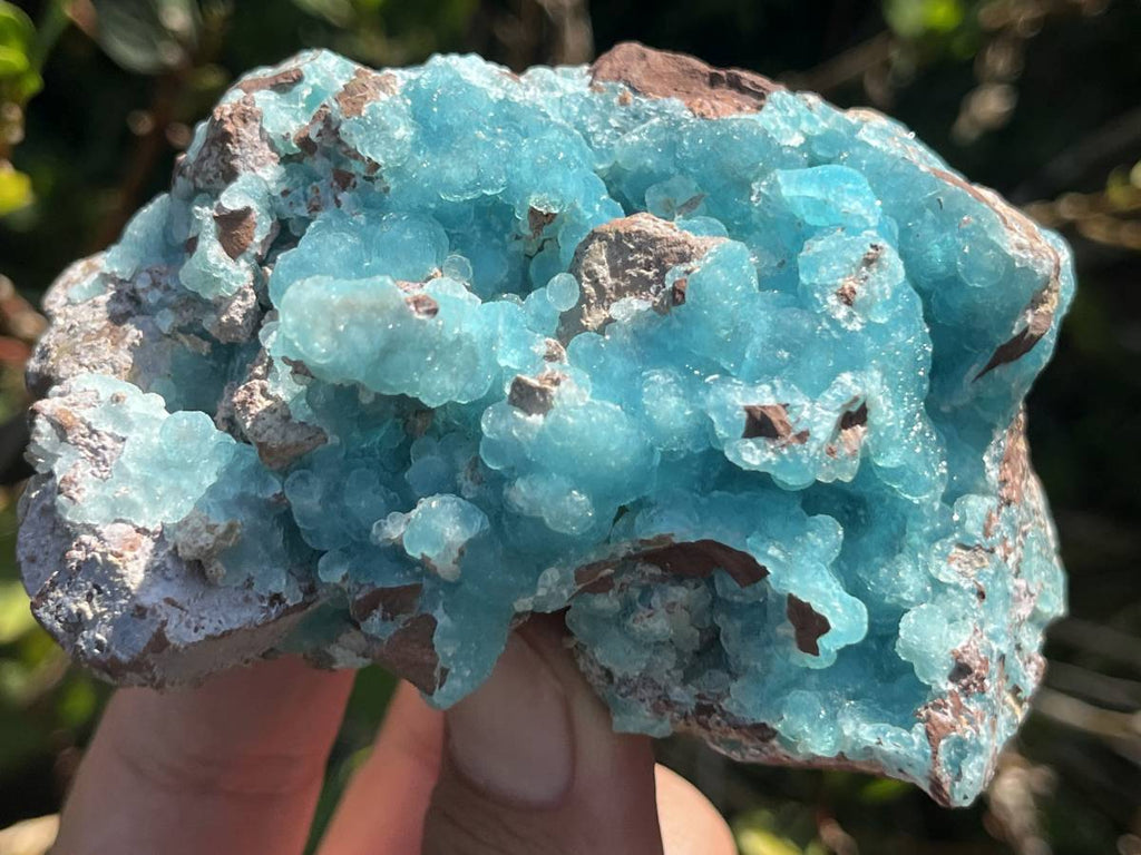Natural Rare Drusy Hemimorphite On Dolomite Specimen x 1 From Lupoto Mine, Congo