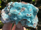 Natural Rare Drusy Hemimorphite On Dolomite Specimen x 1 From Lupoto Mine, Congo