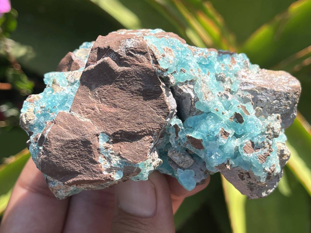 Natural Rare Drusy Hemimorphite On Dolomite Specimen x 1 From Lupoto Mine, Congo