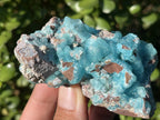 Natural Rare Drusy Hemimorphite On Dolomite Specimen x 1 From Lupoto Mine, Congo