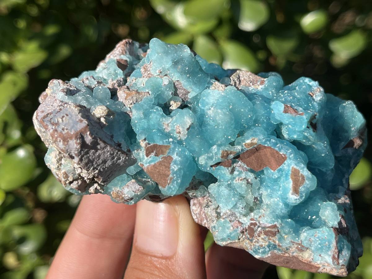 Natural Rare Drusy Hemimorphite On Dolomite Specimen x 1 From Lupoto Mine, Congo