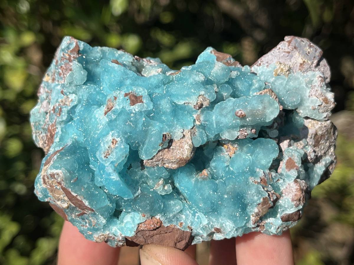 Natural Rare Drusy Hemimorphite On Dolomite Specimen x 1 From Lupoto Mine, Congo