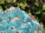 Natural Rare Drusy Hemimorphite On Dolomite Specimen x 1 From Lupoto Mine, Congo