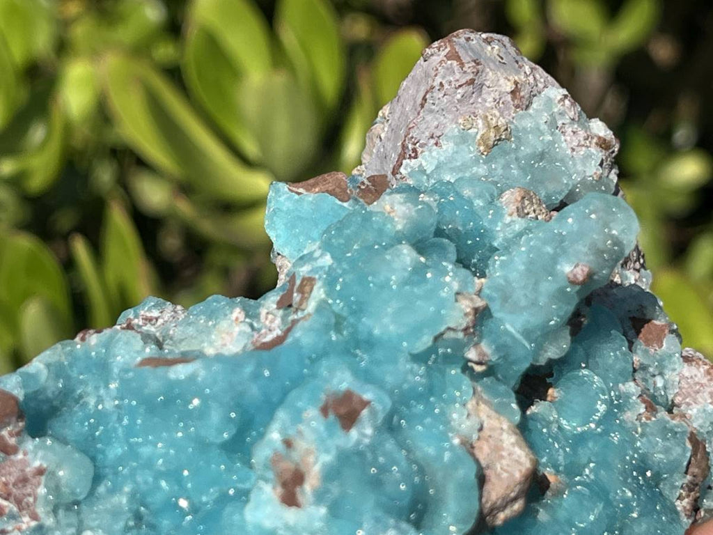 Natural Rare Drusy Hemimorphite On Dolomite Specimen x 1 From Lupoto Mine, Congo