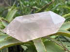 Polished Double Terminated Gemmy Rose Quartz Crystal x 1 From Ambatondrazaka, Madagascar