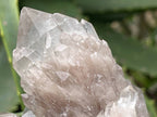 Natural Cascading White Phantom  Clear Quartz Cluster x 1 From Luena, Congo
