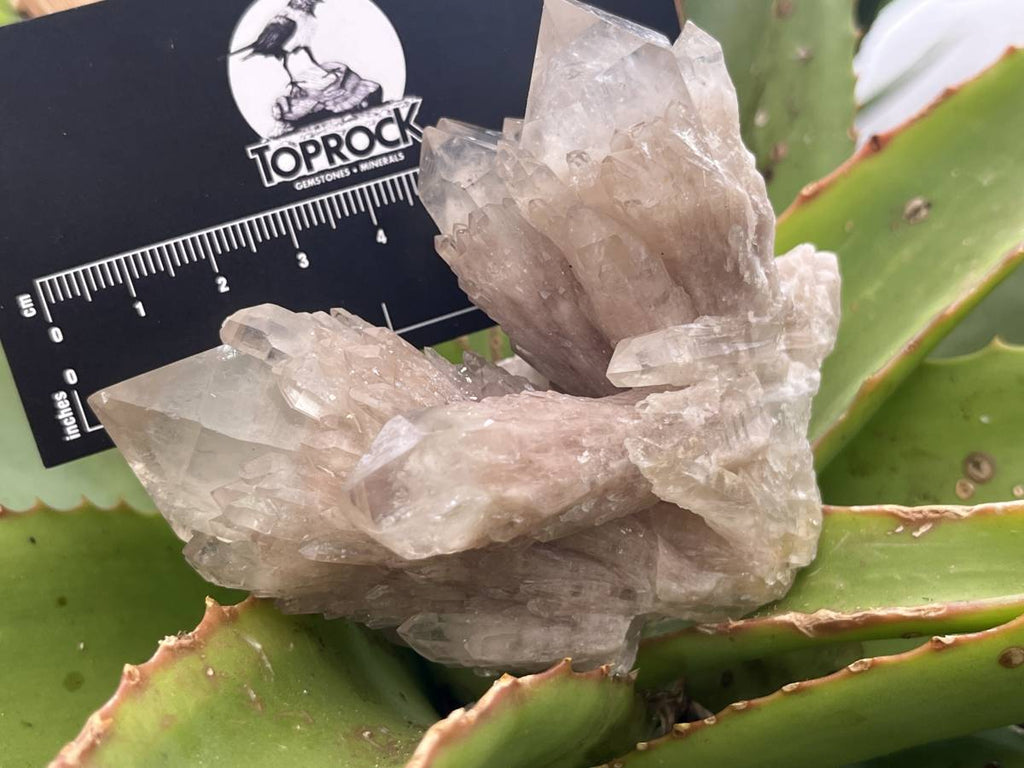 Natural Cascading White Phantom  Clear Quartz Cluster x 1 From Luena, Congo