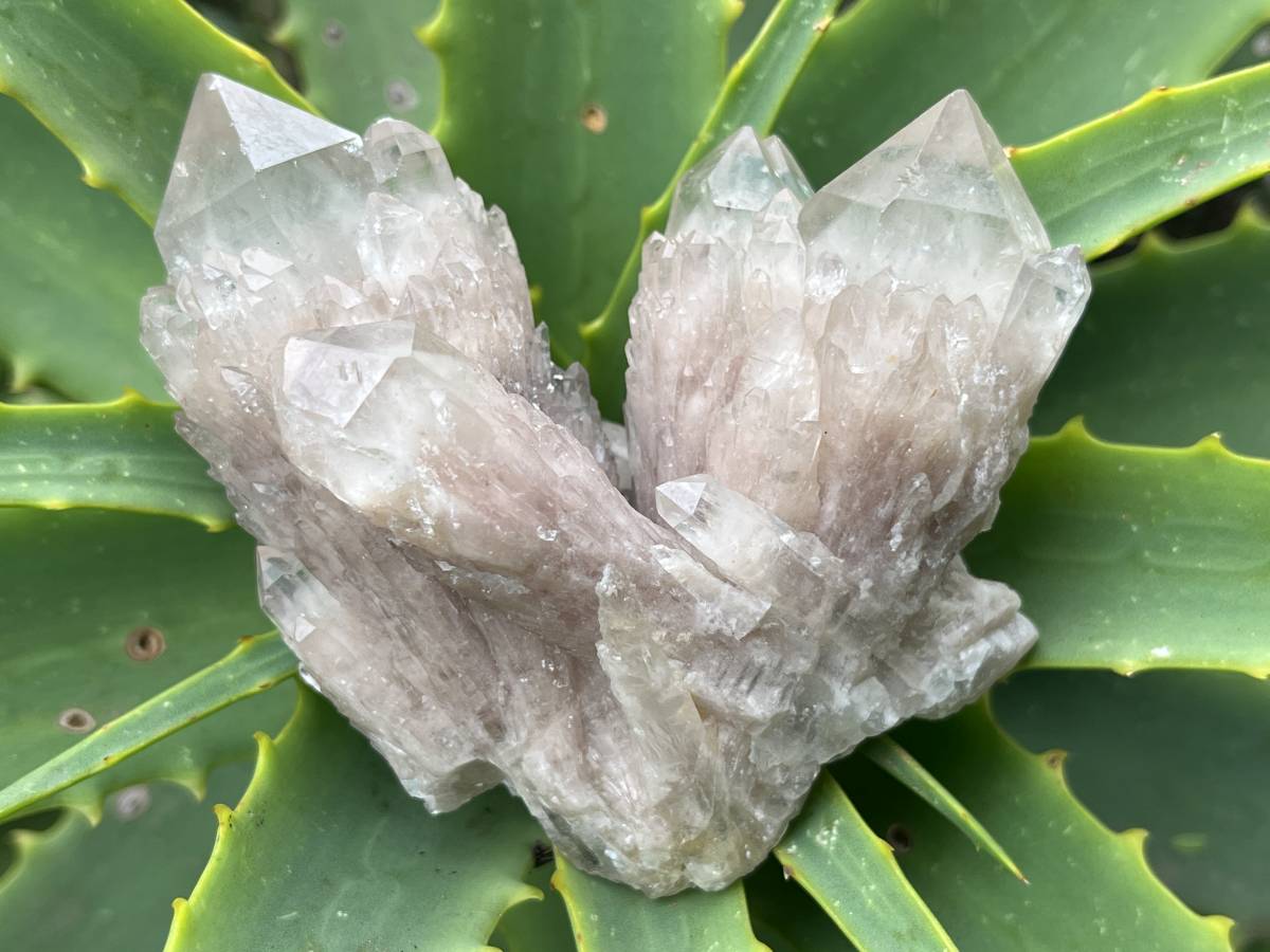 Natural Cascading White Phantom  Clear Quartz Cluster x 1 From Luena, Congo