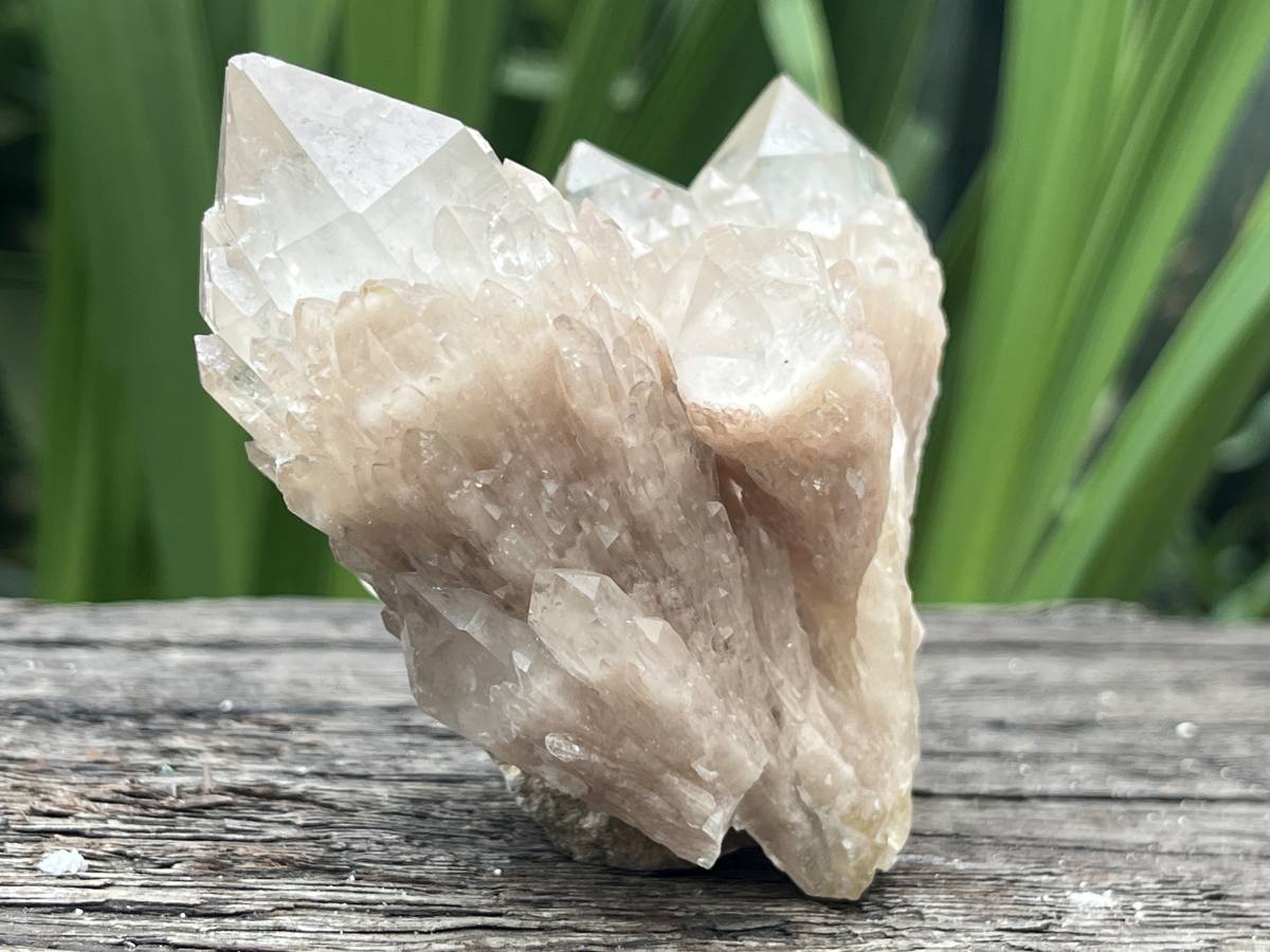 Natural Cascading White Phantom  Clear Quartz Cluster x 1 From Luena, Congo