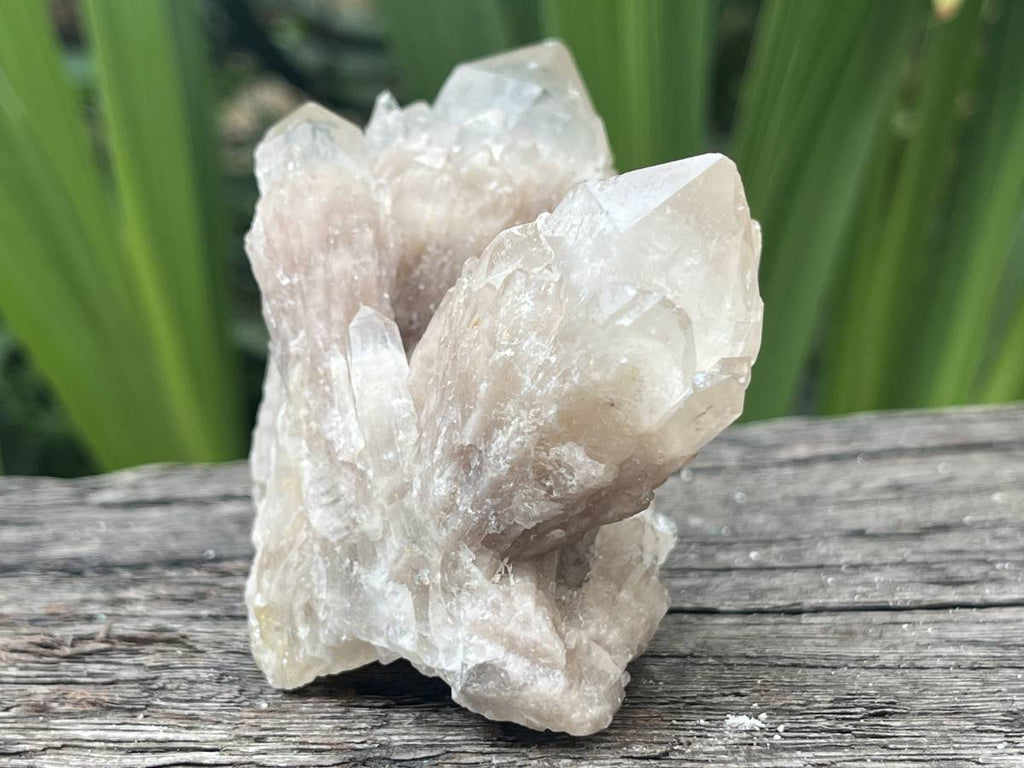 Natural Cascading White Phantom  Clear Quartz Cluster x 1 From Luena, Congo