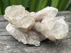 Natural Cascading White Phantom  Clear Quartz Cluster x 1 From Luena, Congo