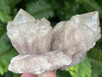 Natural Cascading White Phantom  Clear Quartz Cluster x 1 From Luena, Congo