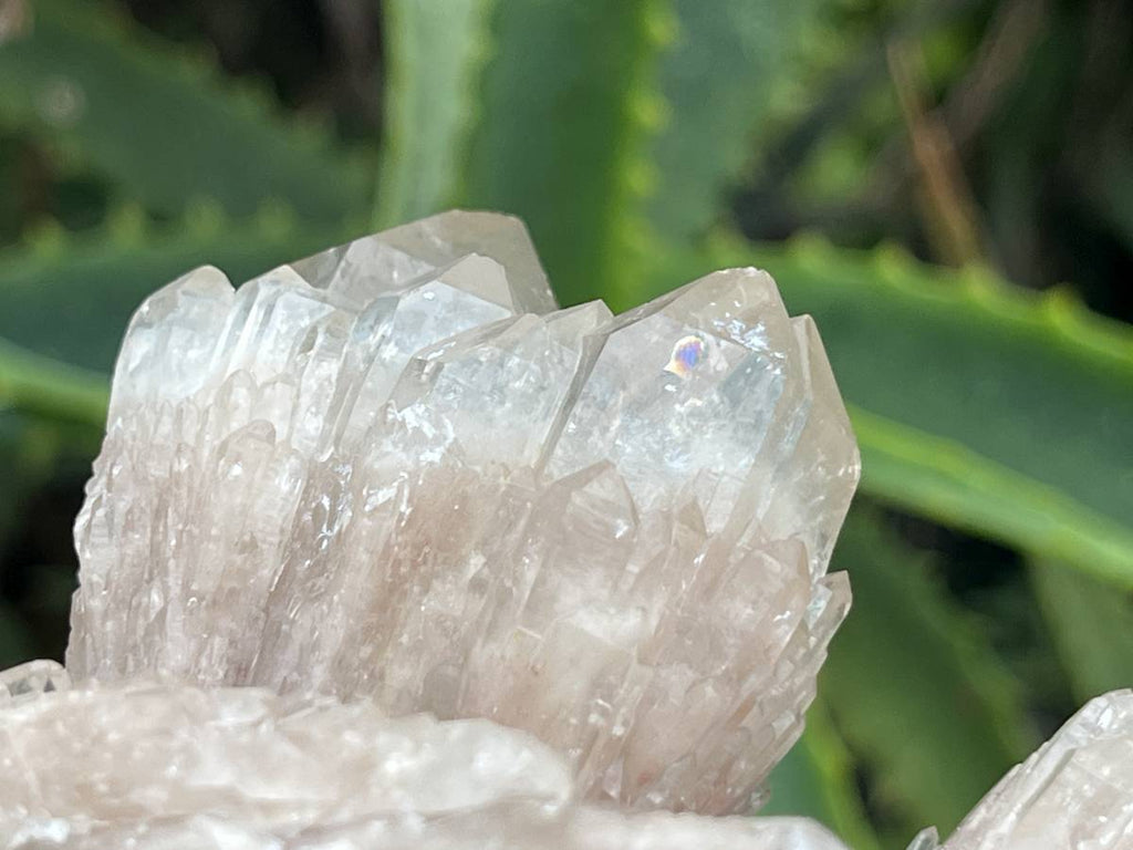 Natural Cascading White Phantom  Clear Quartz Cluster x 1 From Luena, Congo