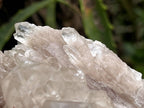 Natural Cascading White Phantom  Clear Quartz Cluster x 1 From Luena, Congo