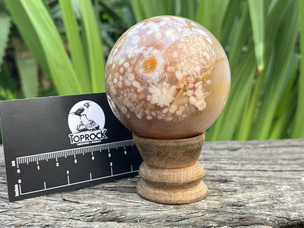 Polished Flower Agate Sphere x 1 From Antsahalova, Madagascar