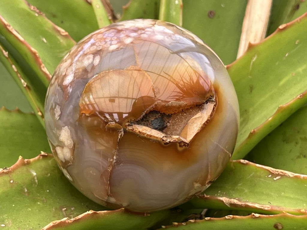 Polished Flower Agate Sphere x 1 From Antsahalova, Madagascar