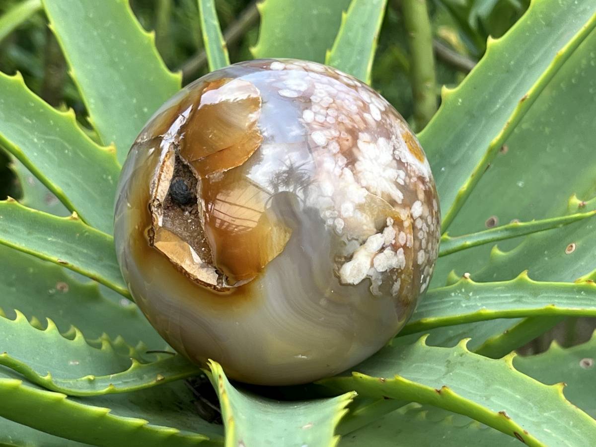 Polished Flower Agate Sphere x 1 From Antsahalova, Madagascar