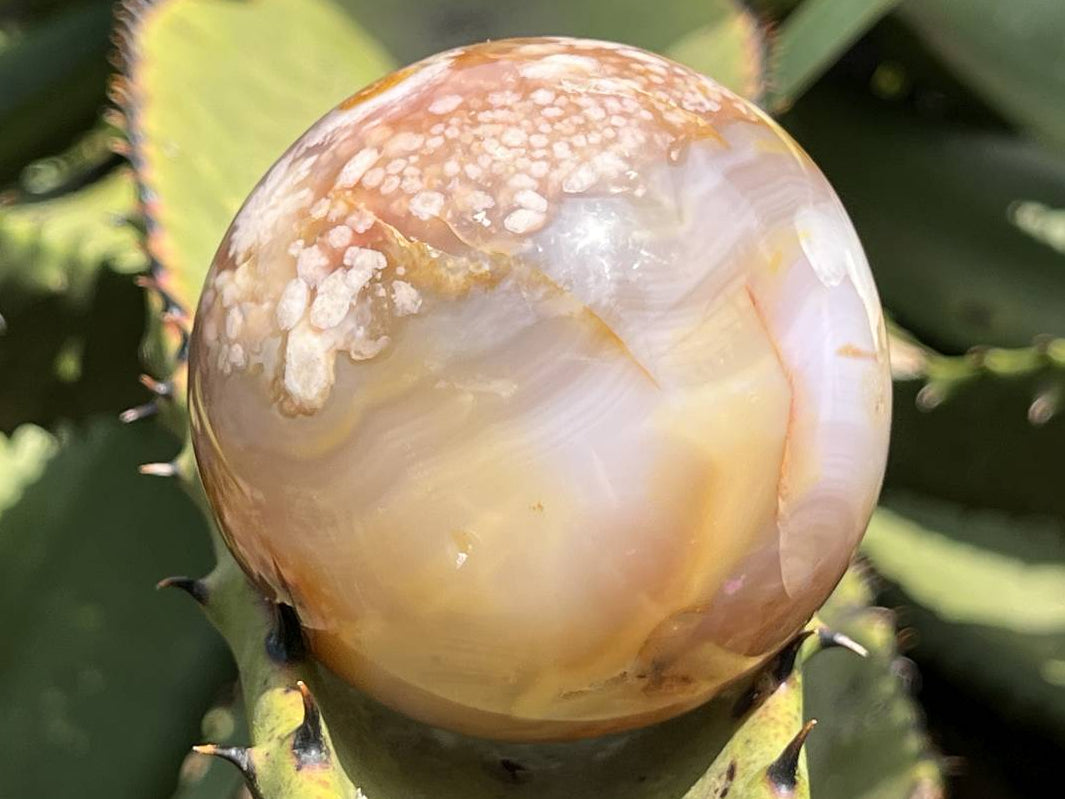 Polished Flower Agate Sphere x 1 From Antsahalova, Madagascar