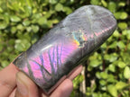 Polished Rare Purple Sunset Flash Labradorite Standing Free Form x 1 From Tulear, Madagascar