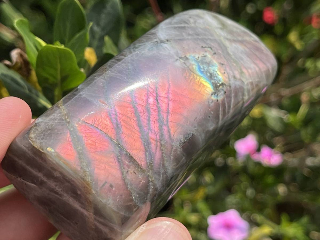 Polished Rare Purple Sunset Flash Labradorite Standing Free Form x 1 From Tulear, Madagascar