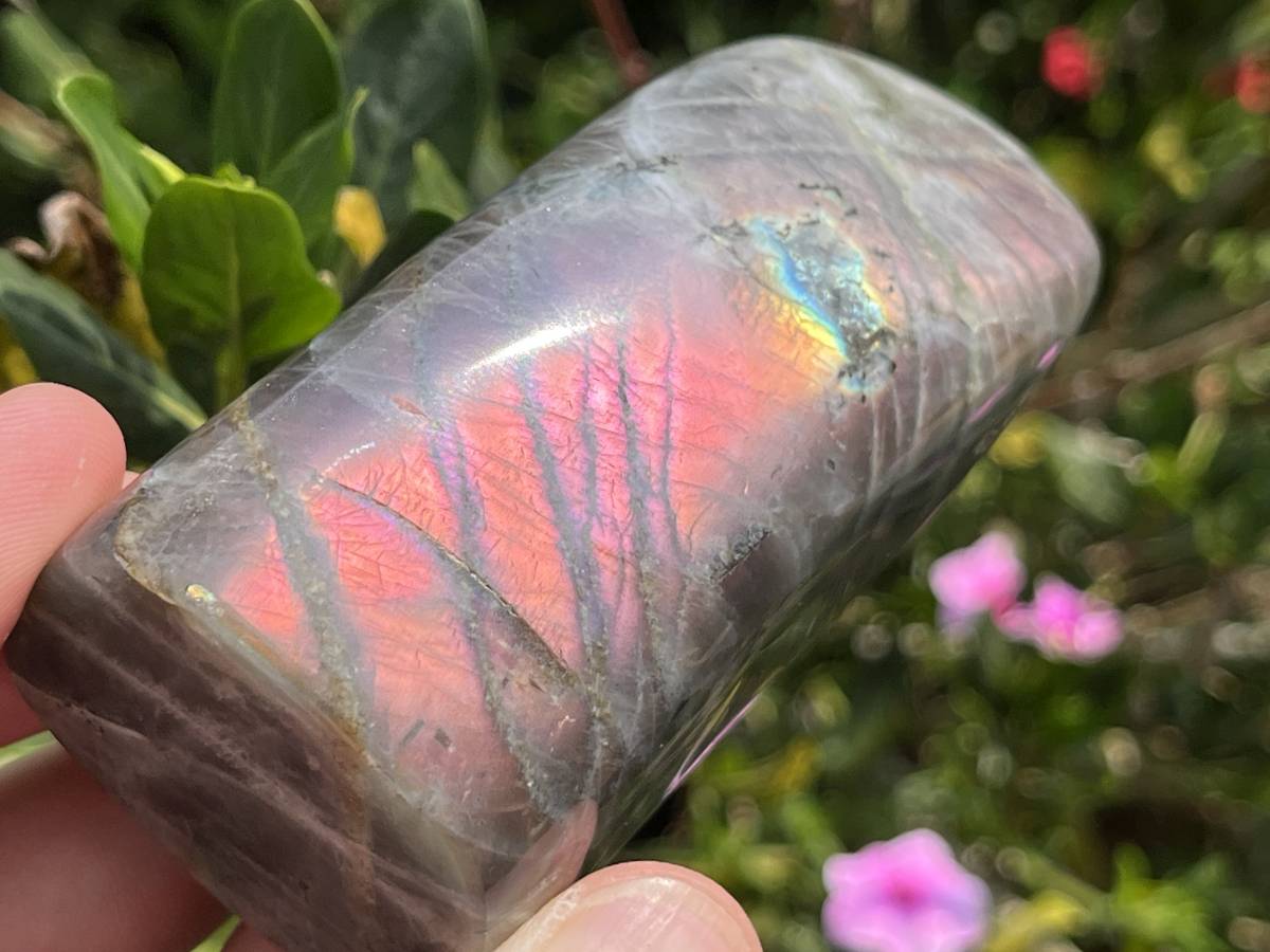 Polished Rare Purple Sunset Flash Labradorite Standing Free Form x 1 From Tulear, Madagascar