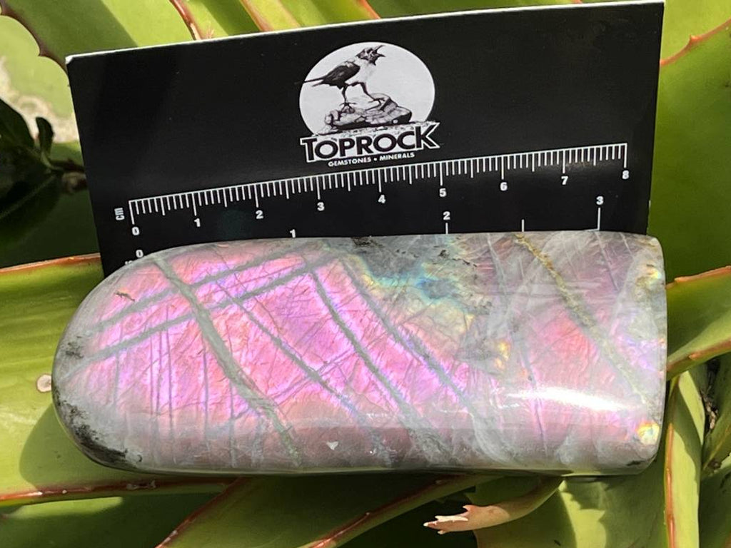 Polished Rare Purple Sunset Flash Labradorite Standing Free Form x 1 From Tulear, Madagascar