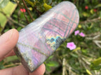Polished Rare Purple Sunset Flash Labradorite Standing Free Form x 1 From Tulear, Madagascar
