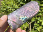 Polished Rare Purple Sunset Flash Labradorite Standing Free Form x 1 From Tulear, Madagascar