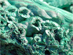 Natural XXXL Museum Malachite Stalactite Formation x 1 From Kolwezi, Congo