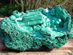 Natural XXXL Museum Malachite Stalactite Formation x 1 From Kolwezi, Congo