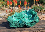 Natural XXXL Museum Malachite Stalactite Formation x 1 From Kolwezi, Congo