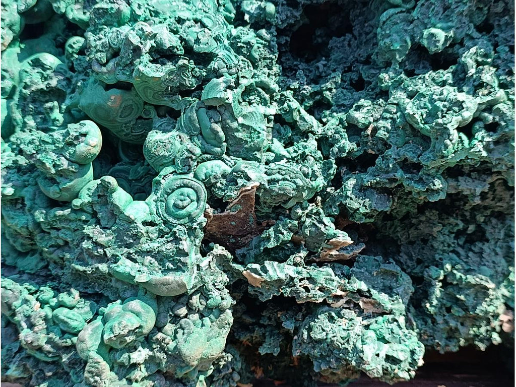 Natural XXXL Silky Malachite Rosette Specimen x 1 From Kasompe, Congo