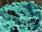 Natural XXXL Silky Malachite Rosette Specimen x 1 From Kasompe, Congo