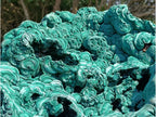 Natural XXXL Silky Malachite Rosette Specimen x 1 From Kasompe, Congo