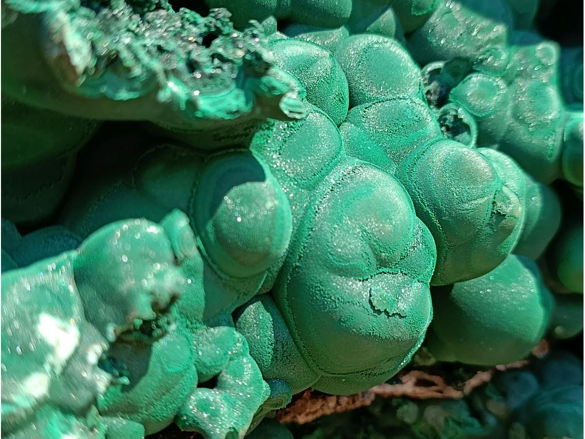 Natural XXXL Silky Malachite Rosette Specimen x 1 From Kasompe, Congo