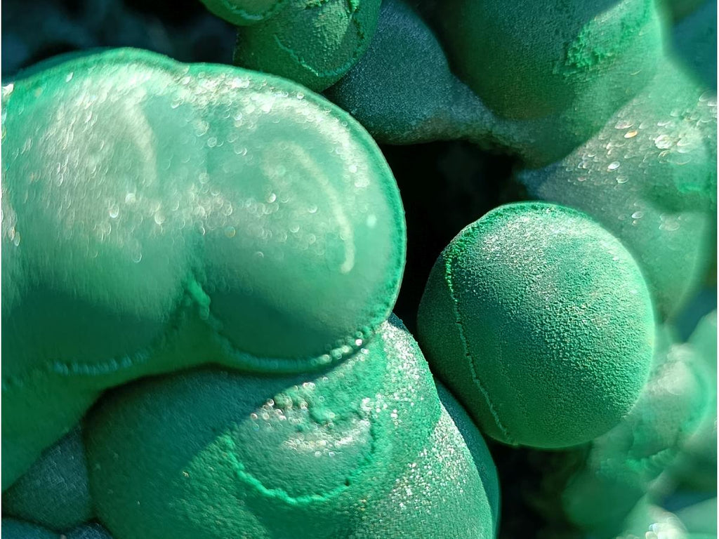 Natural XXXL Silky Malachite Rosette Specimen x 1 From Kasompe, Congo