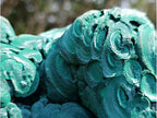 Natural XXXL Silky Malachite Rosette Specimen x 1 From Kasompe, Congo