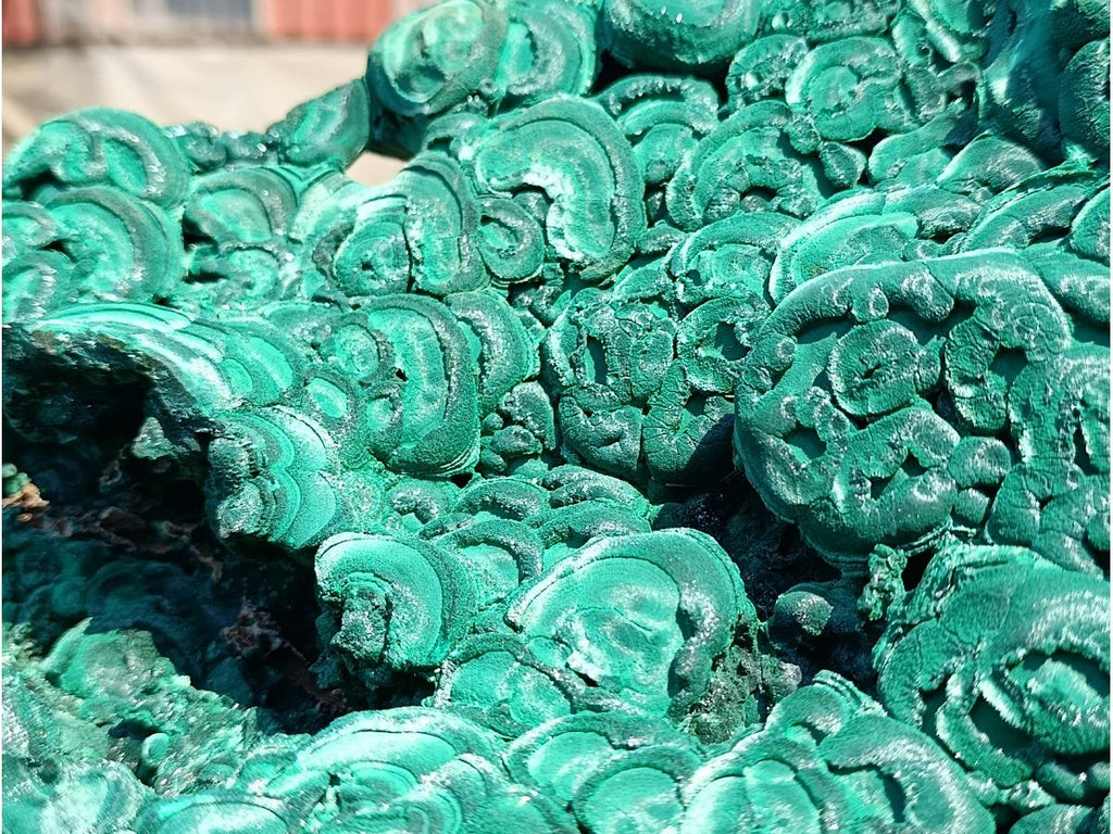 Natural XXXL Silky Malachite Rosette Specimen x 1 From Kasompe, Congo