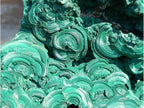 Natural XXXL Silky Malachite Rosette Specimen x 1 From Kasompe, Congo