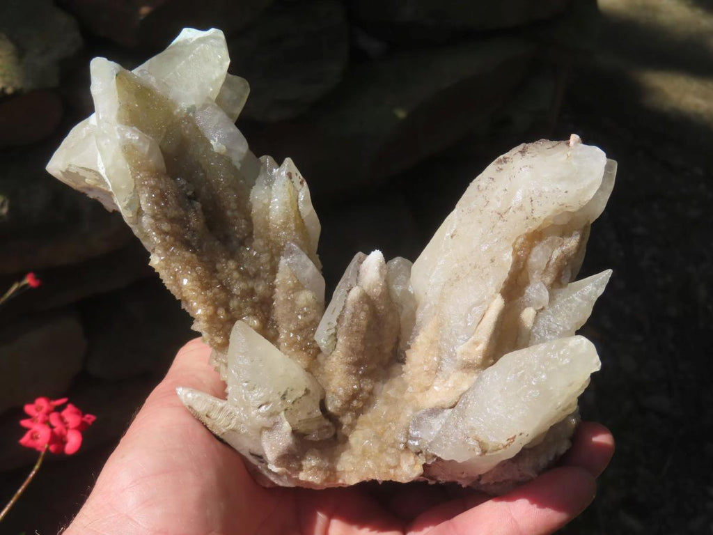 Natural XL Spearhead Calcite And Drusy Quartz Pseudomorph x 1 From Albert's Mountain, Lesotho