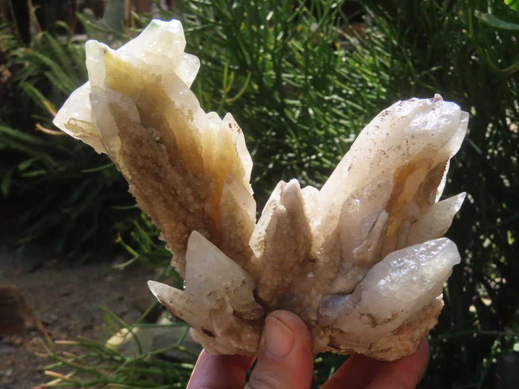Natural XL Spearhead Calcite And Drusy Quartz Pseudomorph x 1 From Albert's Mountain, Lesotho