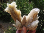 Natural XL Spearhead Calcite And Drusy Quartz Pseudomorph x 1 From Albert's Mountain, Lesotho