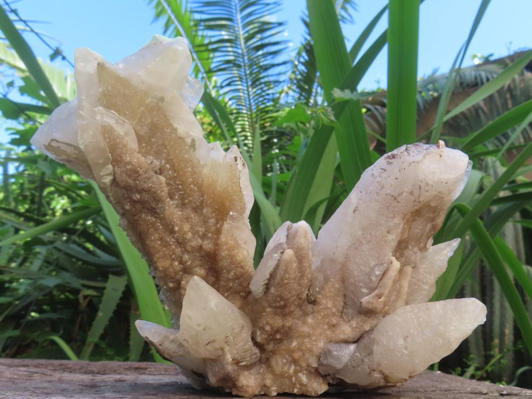 Natural XL Spearhead Calcite And Drusy Quartz Pseudomorph x 1 From Albert's Mountain, Lesotho