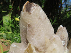 Natural XL Spearhead Calcite And Drusy Quartz Pseudomorph x 1 From Albert's Mountain, Lesotho