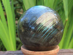 Polished Blue and Gold Flash Labradorite Sphere x 1 From Tulear, Madagascar