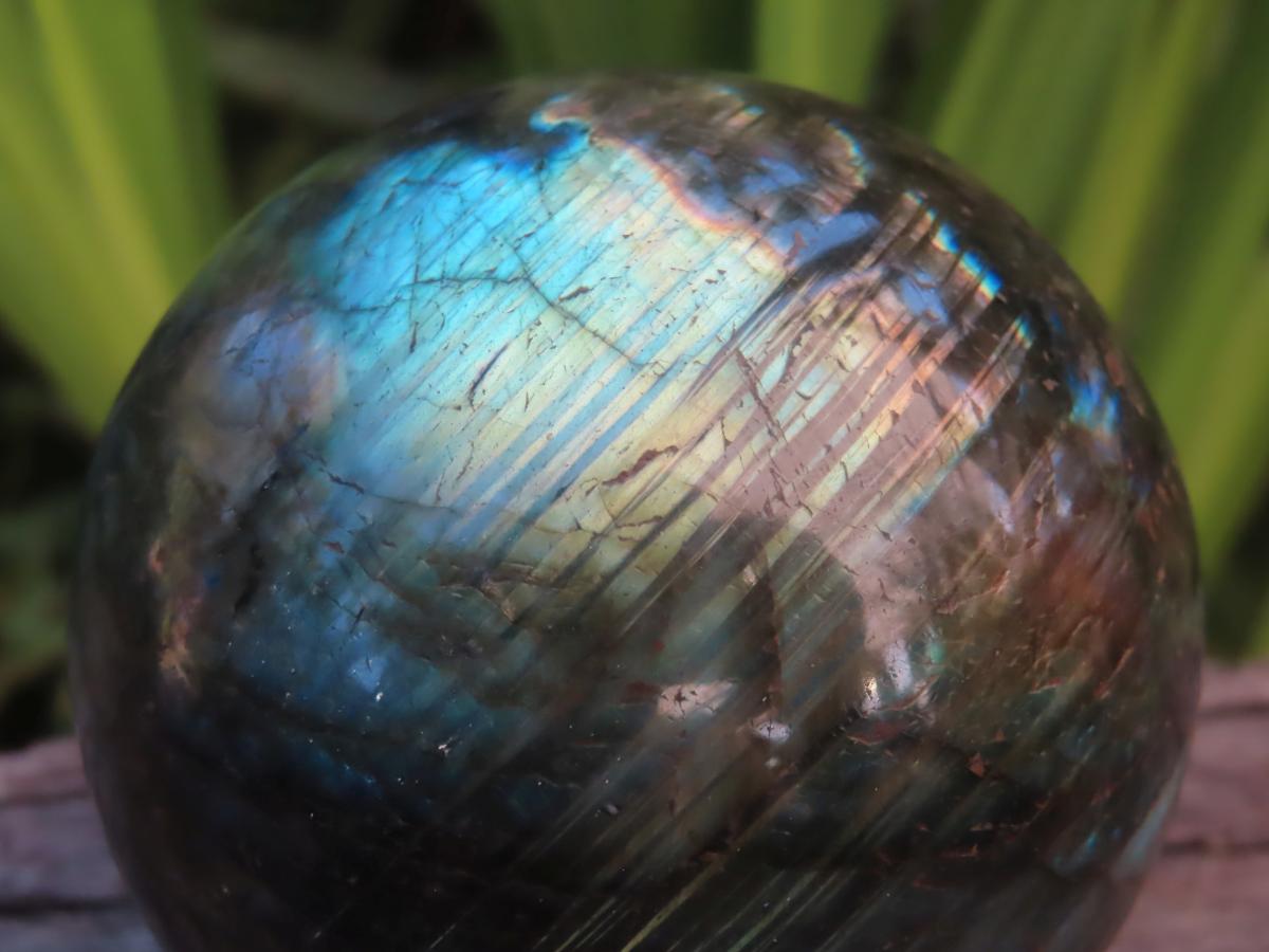 Polished Blue and Gold Flash Labradorite Sphere x 1 From Tulear, Madagascar