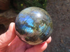Polished Blue and Gold Flash Labradorite Sphere x 1 From Tulear, Madagascar