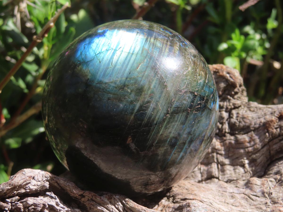 Polished Blue and Gold Flash Labradorite Sphere x 1 From Tulear, Madagascar